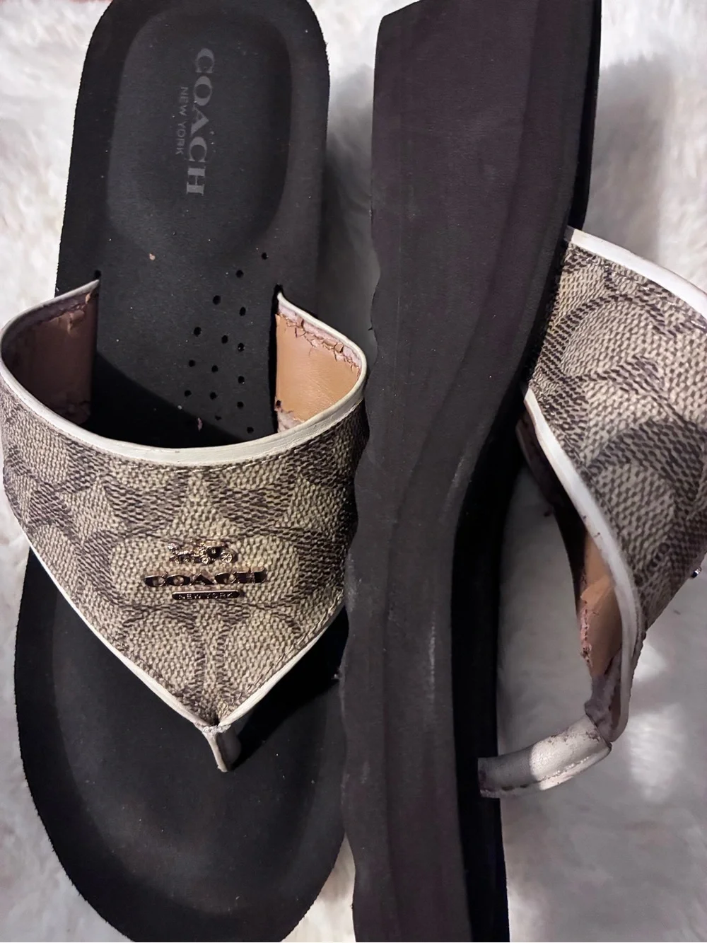 Coach Signature Canvas Thong Sandals in Brown and Black